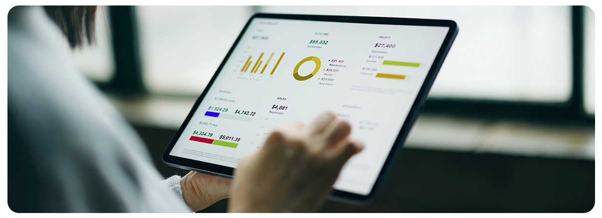 Rentabilidade da carteira em 2024 foi de 2,91%_